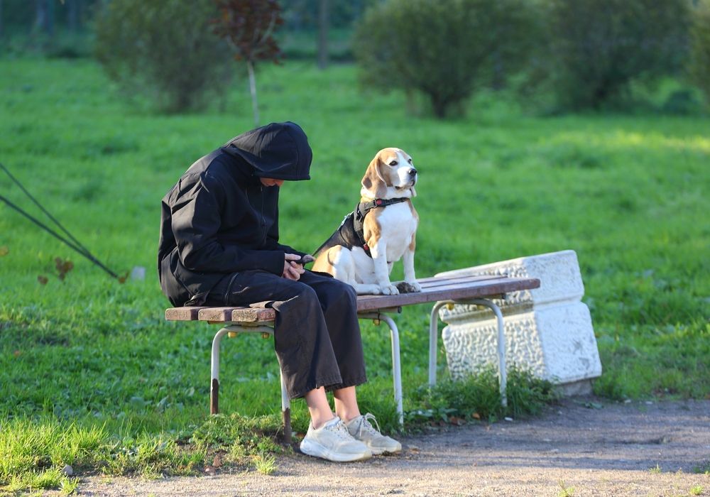 Photograph by Станислав Вершинин