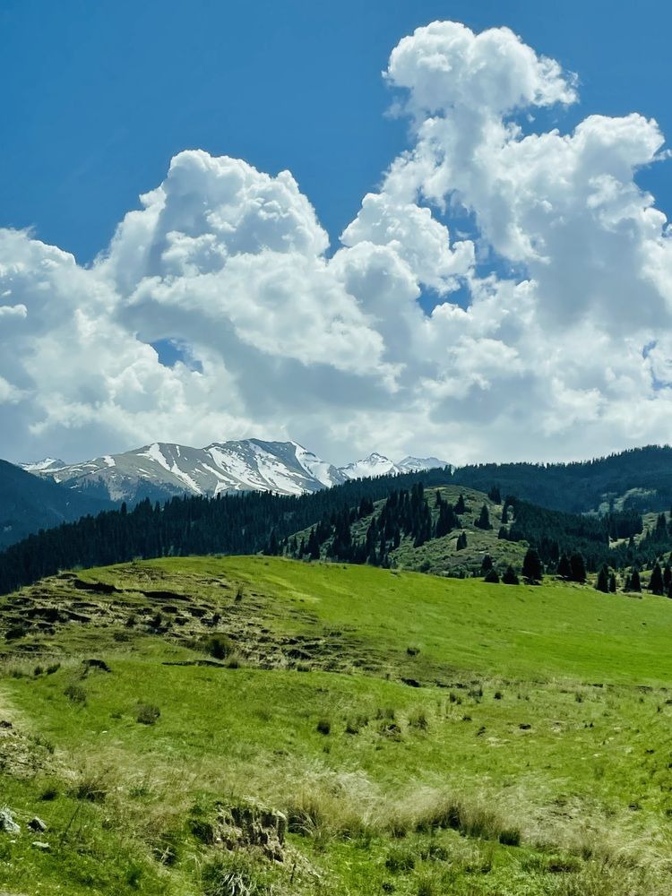 Горы Алатау. Казахстан