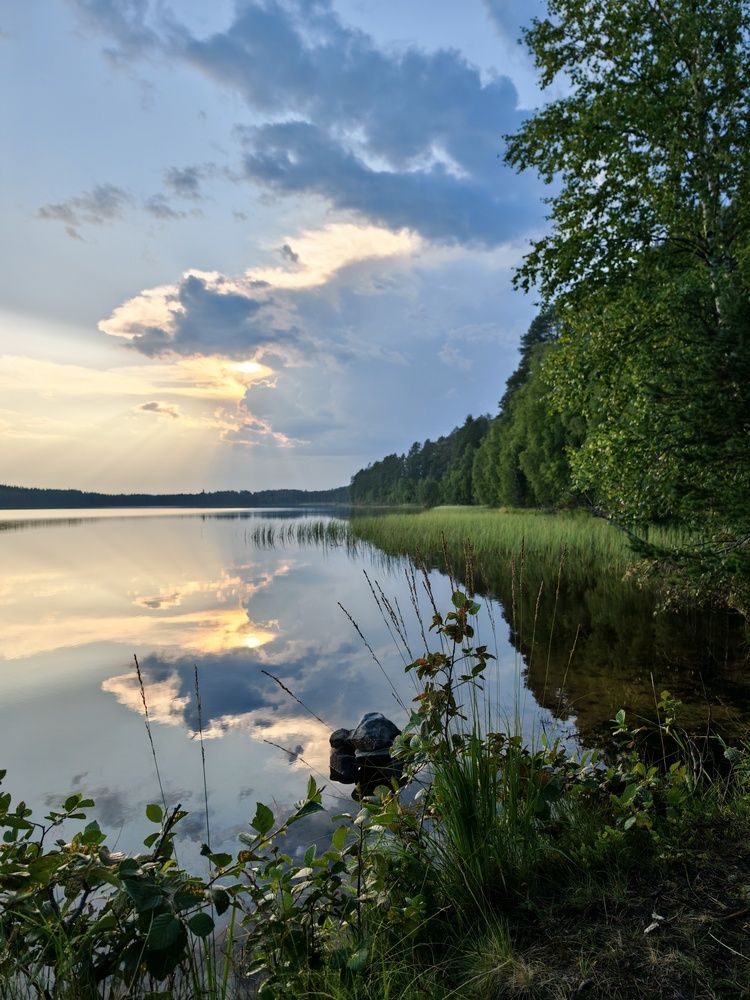 Фотография автора OLga Piirainen