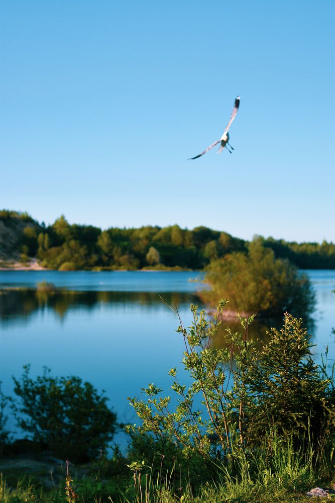 Photograph by Светлана Гордиенко