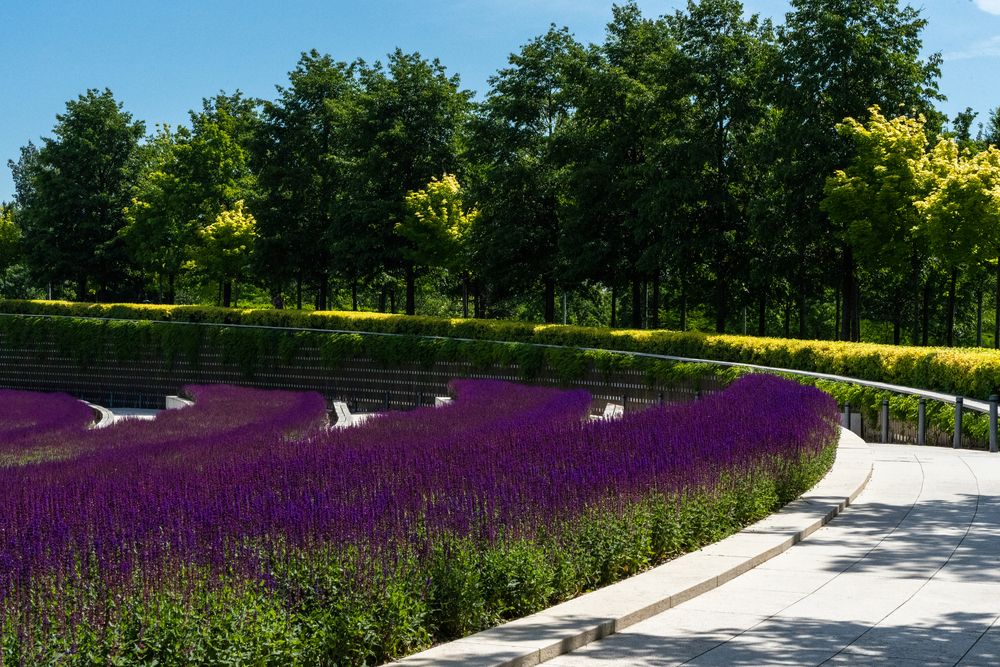 Фотография автора Елена Букия