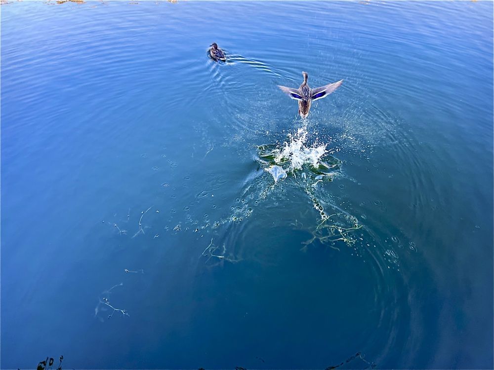 Photograph by Ирина Швейнова