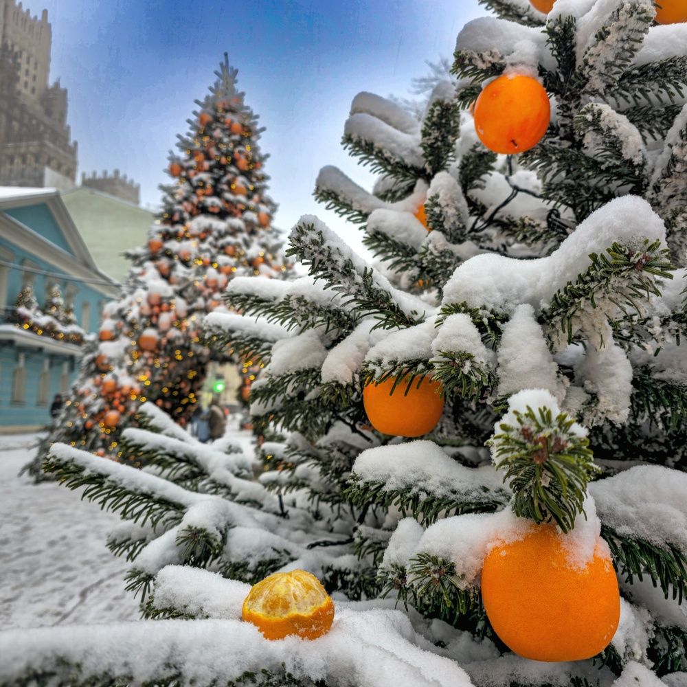 Фотография автора Ольга