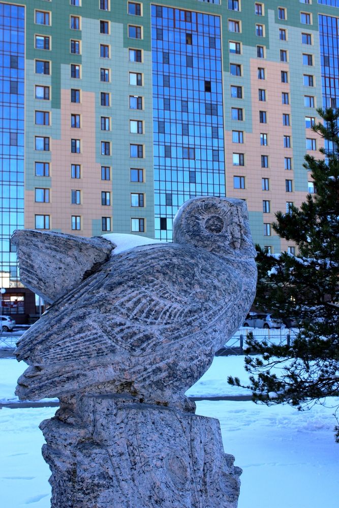 Photograph by Olga Bagaeva