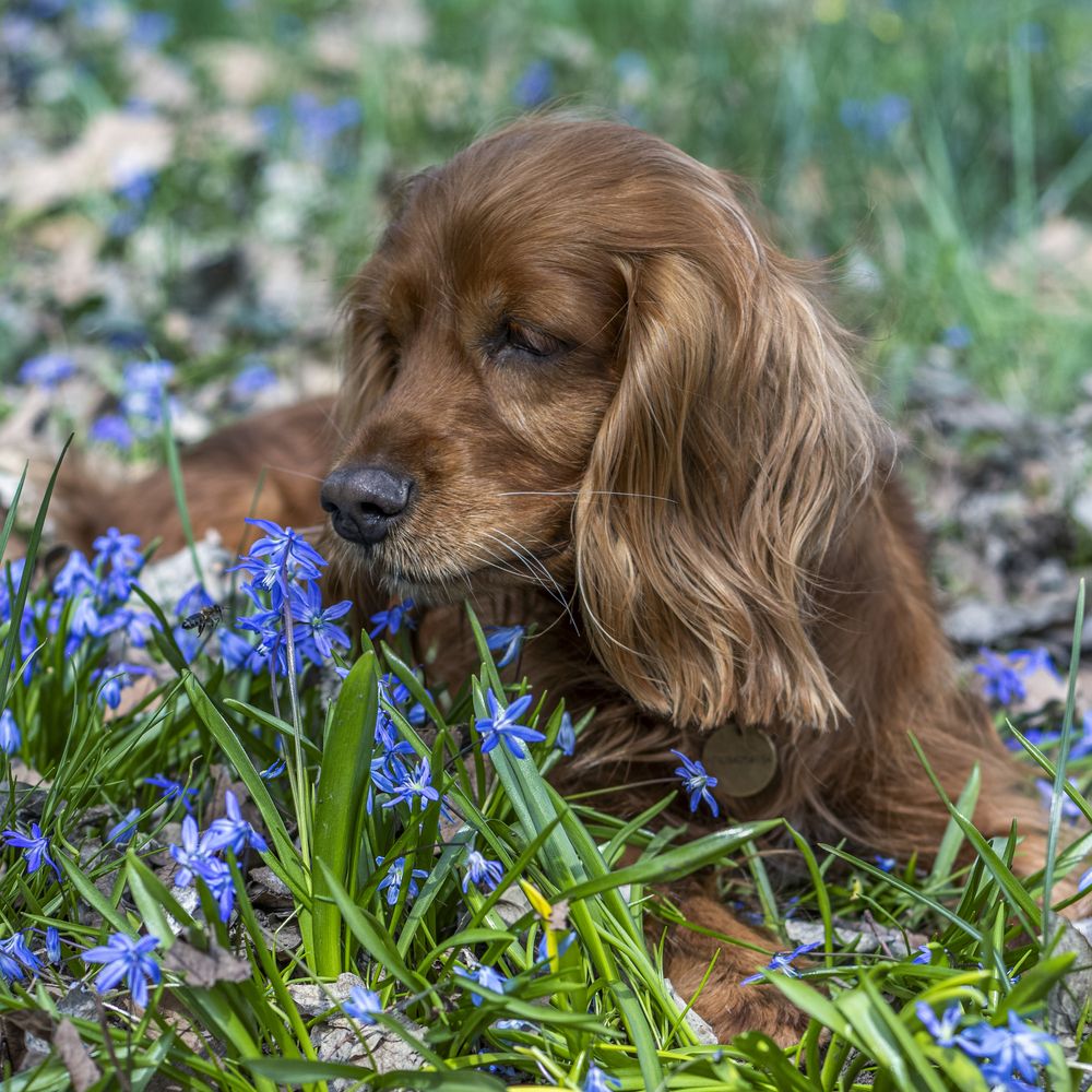 Фотография автора Victoria Mogulyan