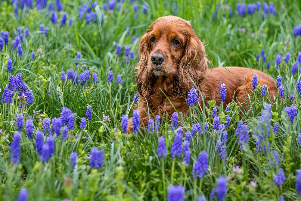 Фотография автора Victoria Mogulyan