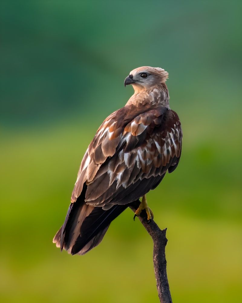 Photograph by Aaron R S