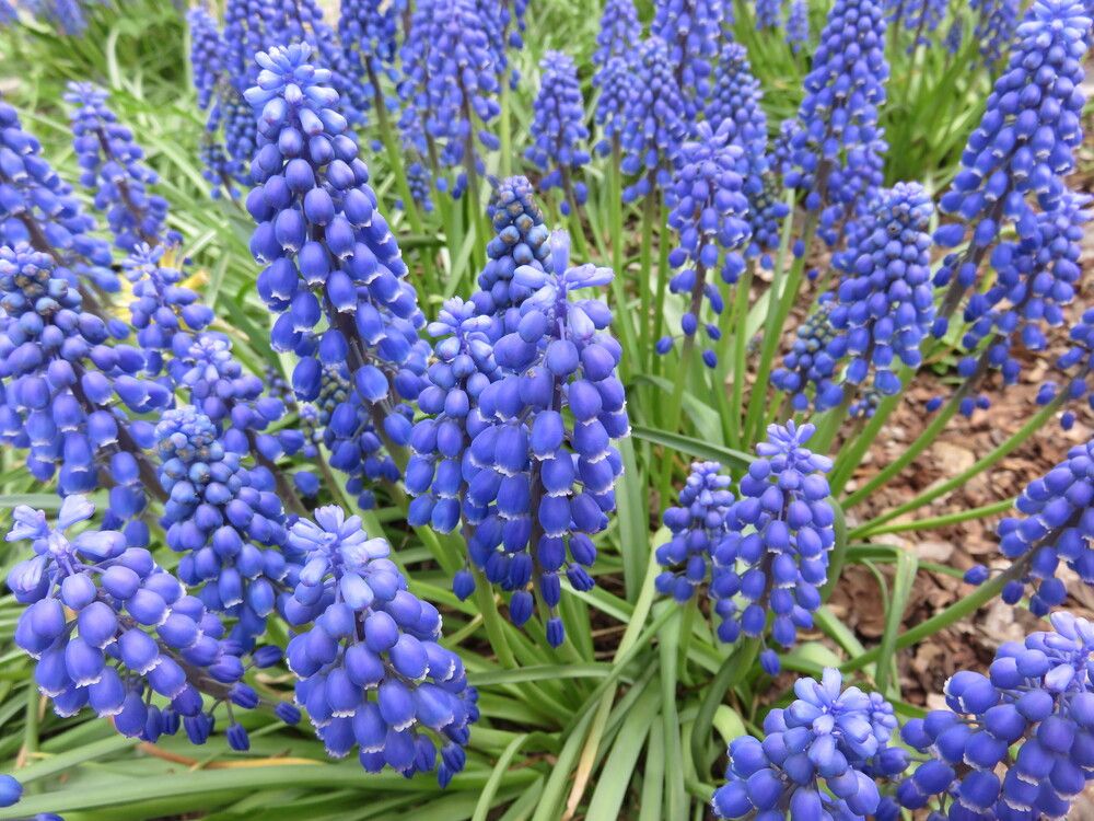 Photograph by Татьяна Пашинцева