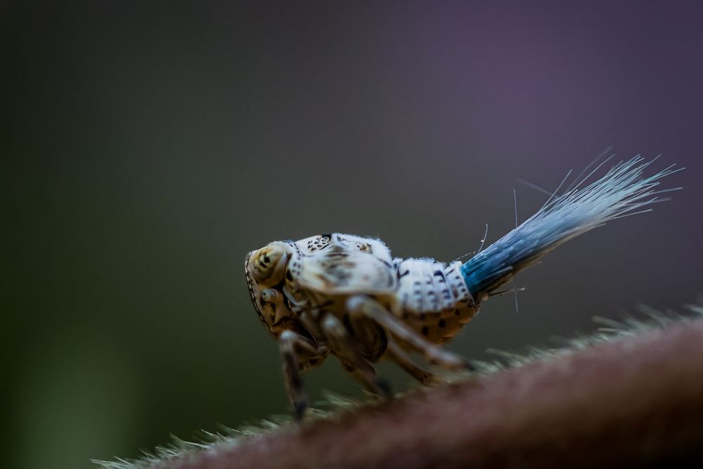 Фотография автора Victoria Mogulyan