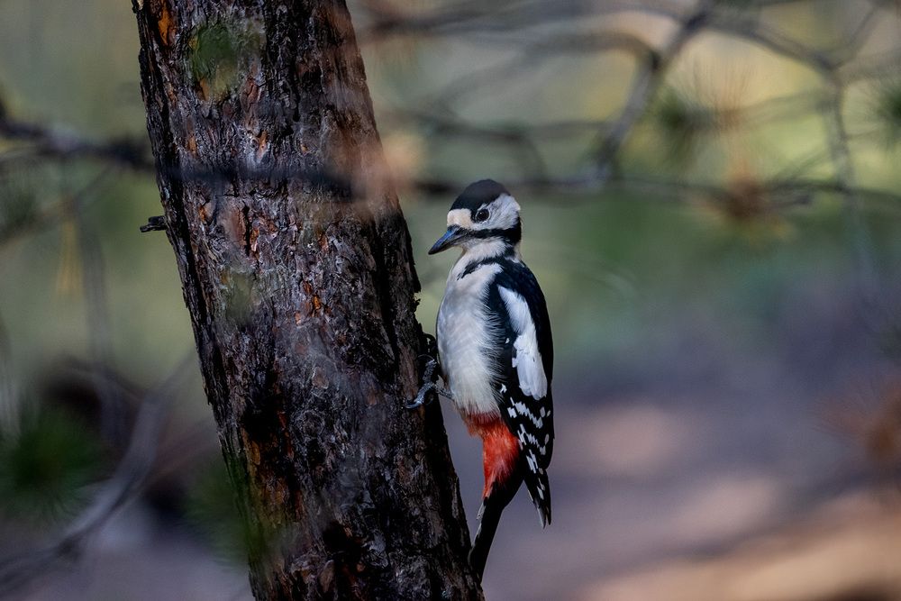 Photograph by Олег Беспалов