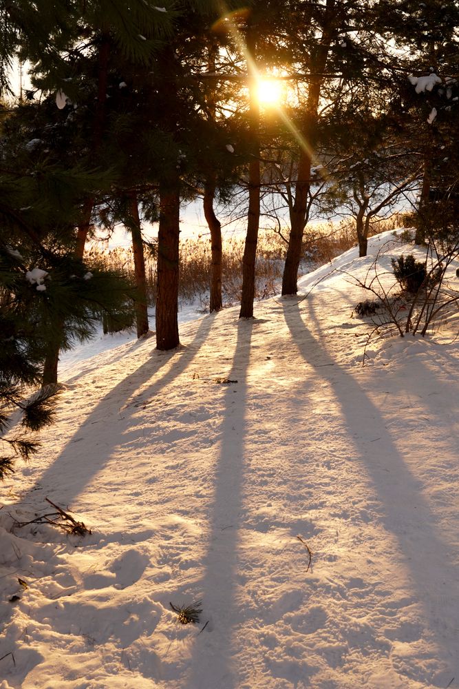 Фотография автора Olga Konkova