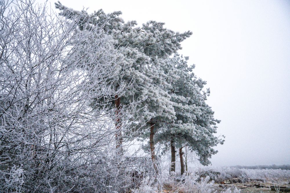 Фотография автора Olga Konkova