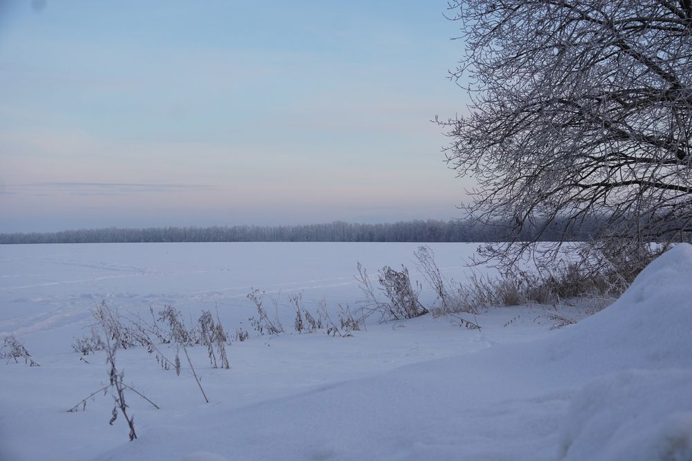 Фотография автора Olga Konkova