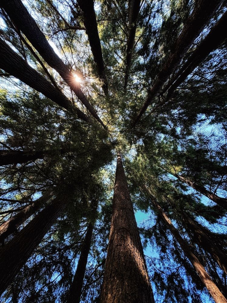 Photograph by Юлия Порфирьева