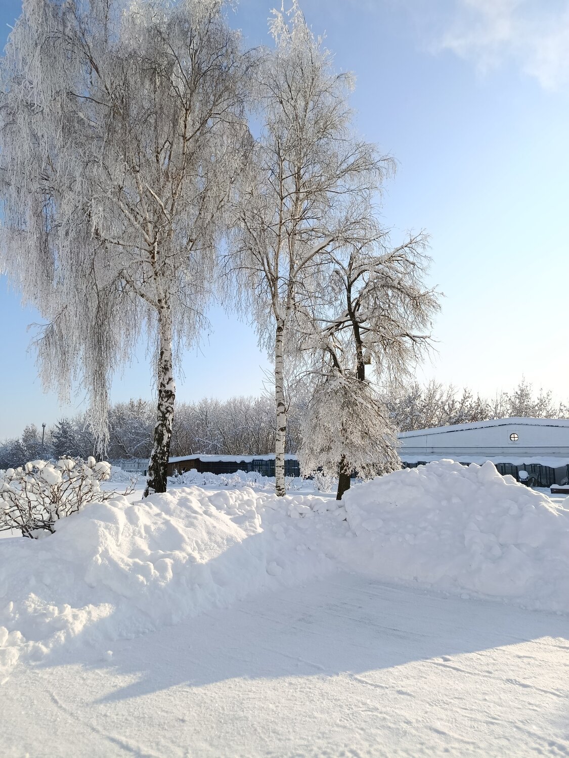 Photo #13167661
