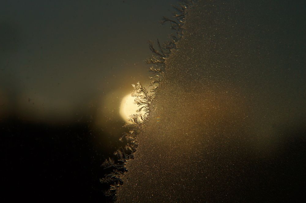 Photograph by Анастасия Юрьева