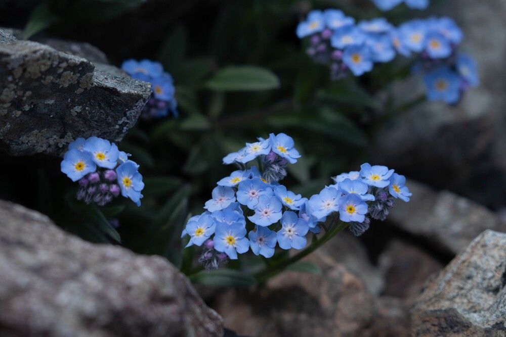 Photograph by Екатерина Ненахова