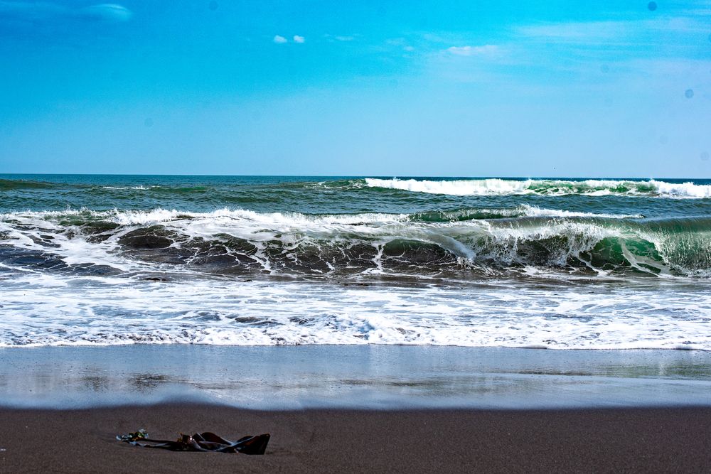Фотография автора Надежда Кошкина