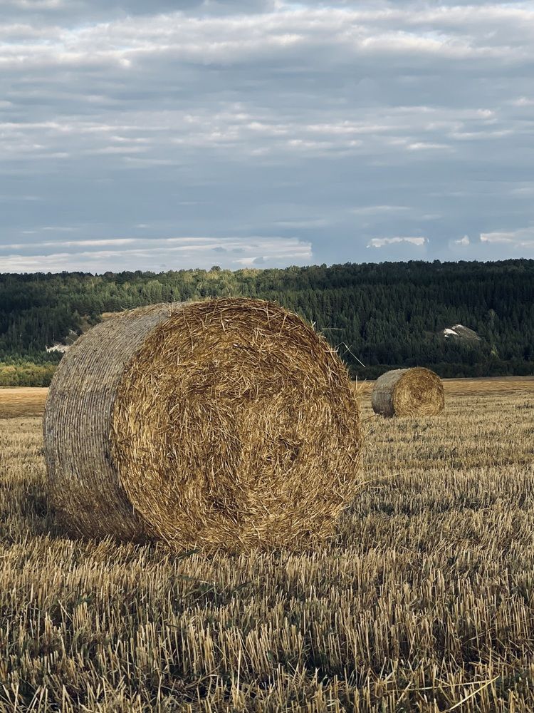 Photograph by Светлана Смук