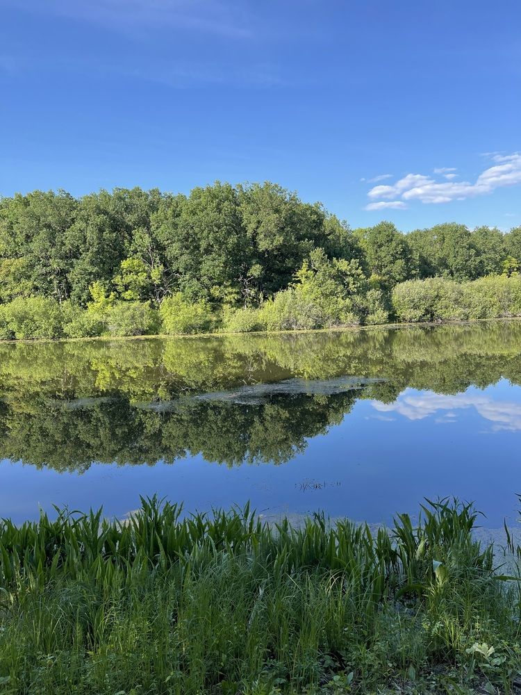 Photograph by Светлана Смук