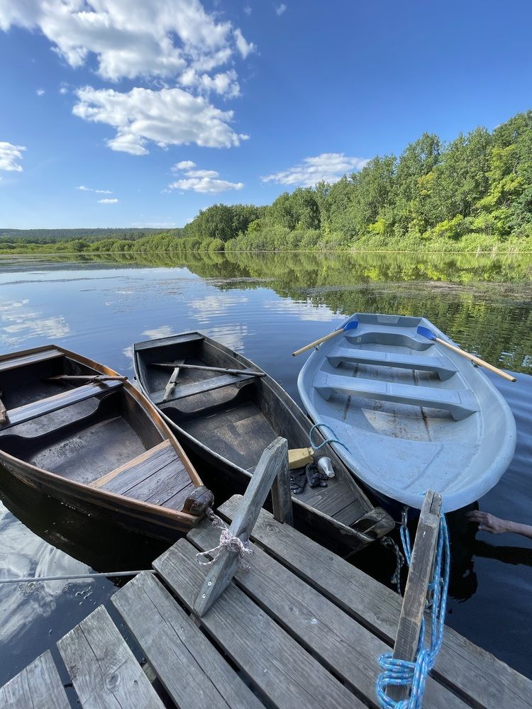 Photograph by Светлана Смук