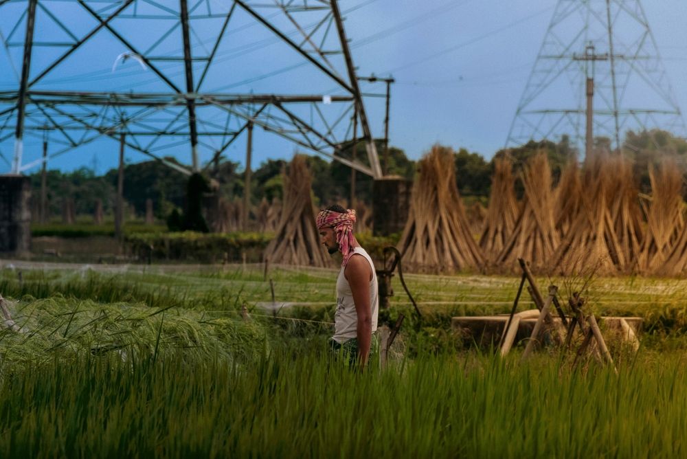 Between Wires and Wheat