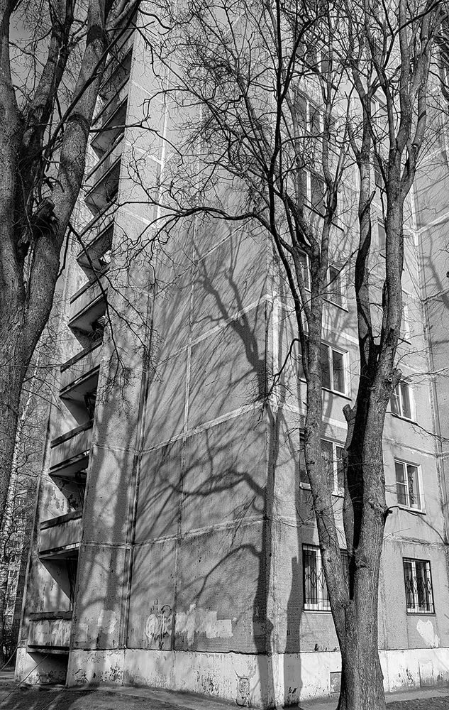 Photograph by Nadezhda Khrustaleva