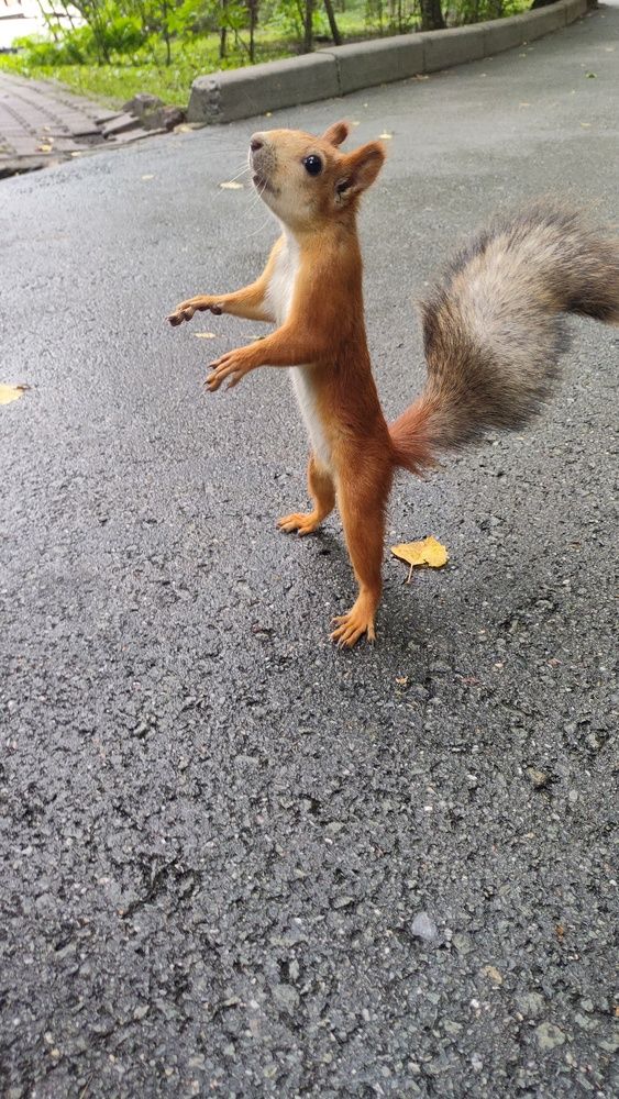 Photograph by Надежда Кошкина