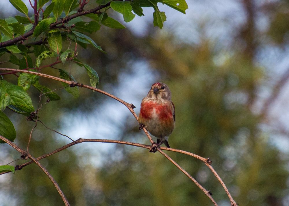 Photograph by Евгений Королев