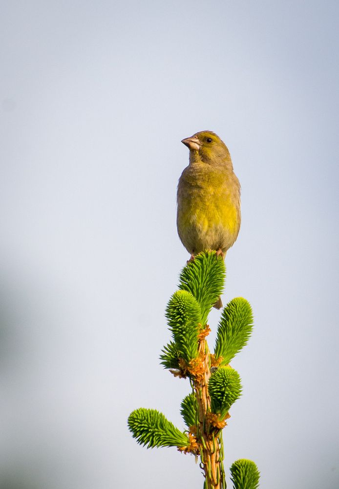 Photograph by Евгений Королев