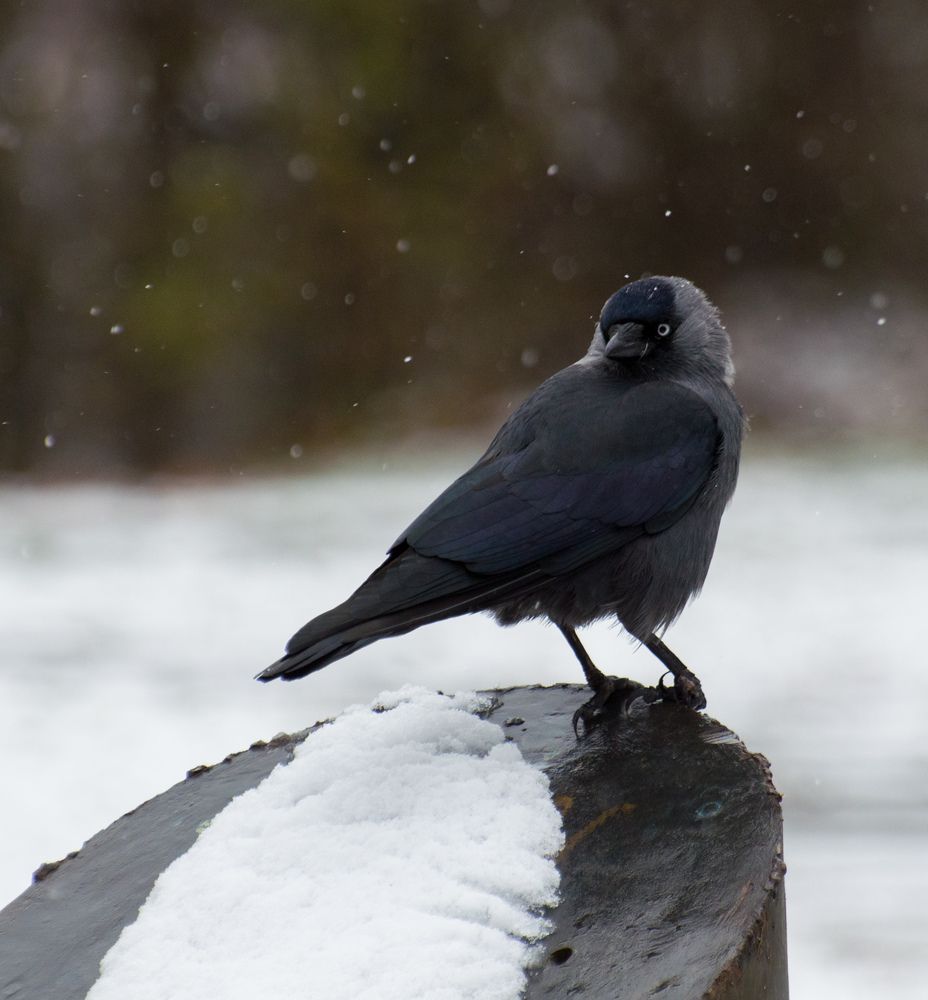 Photograph by Евгений Королев