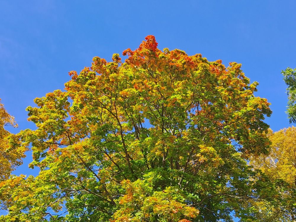 Photograph by Ирина Савельева