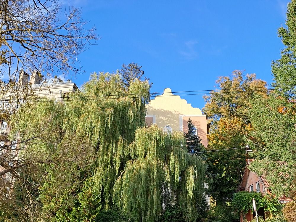 Photograph by Ирина Савельева