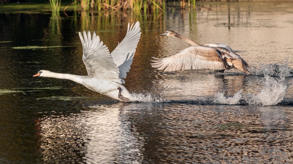 Photograph by Сергей Степанов