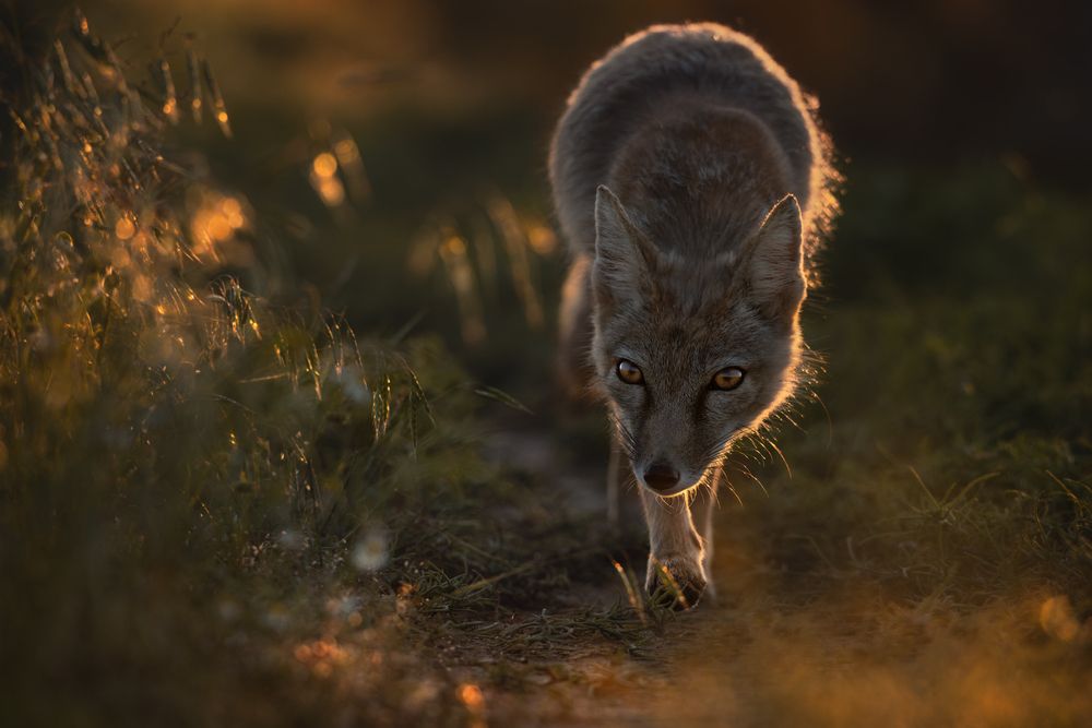 Фотография #13167887