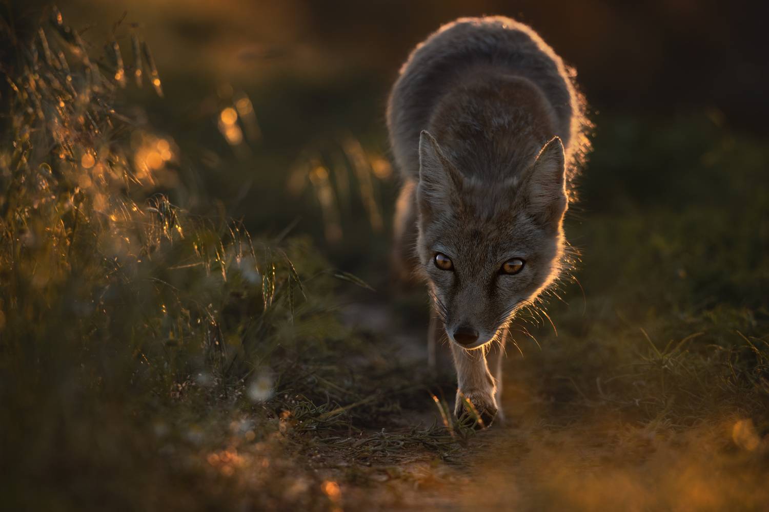 Фотография #13167887