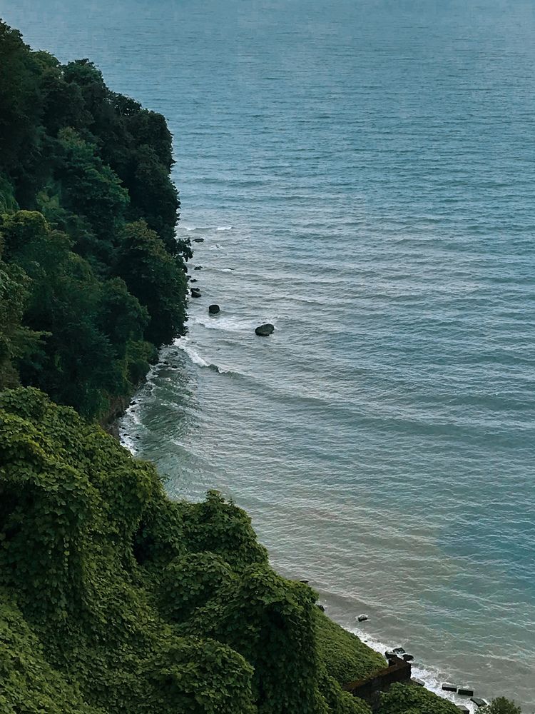 Фотография автора Олена Уманцева