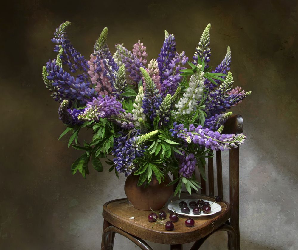 Фотография автора Татьяна Феденкова