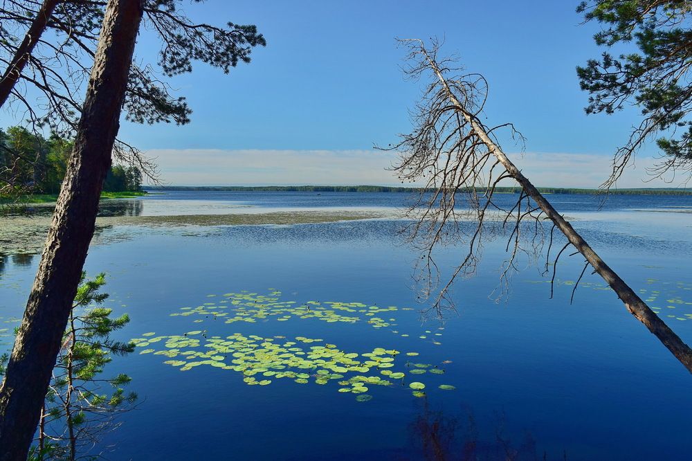 Утро на озере Нюхти.