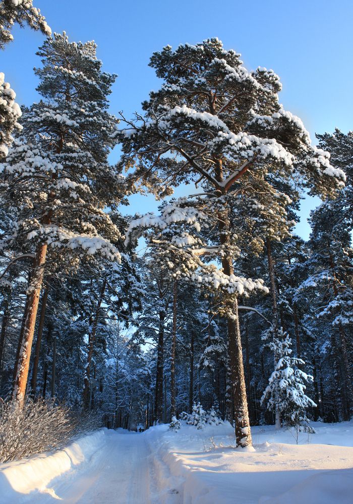 Photograph by Татьяна