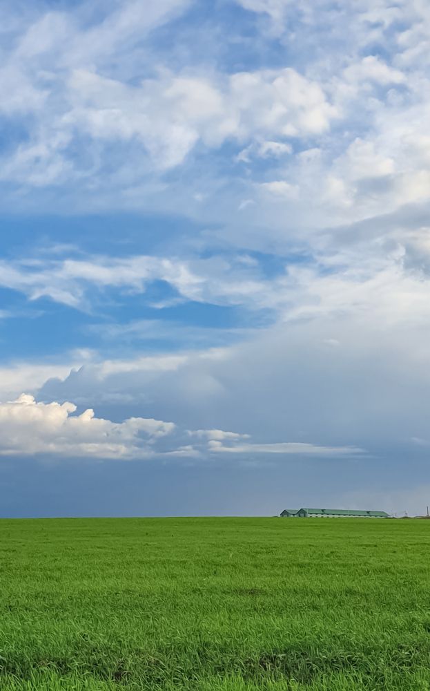 Photograph by NastЯ