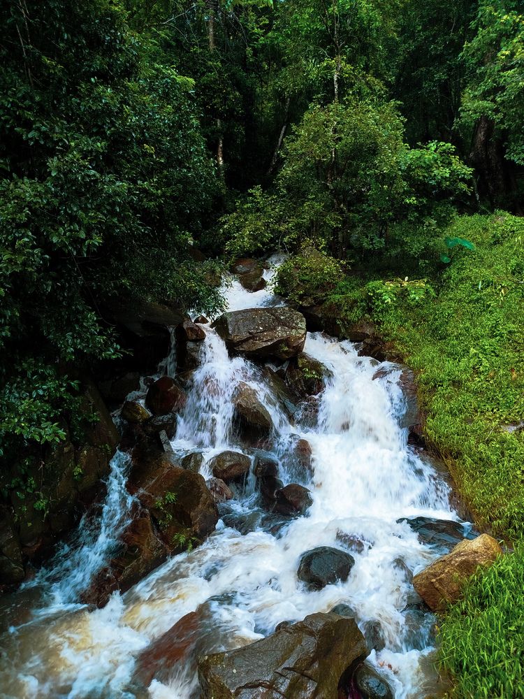 Photograph by Devmin Senevirathna