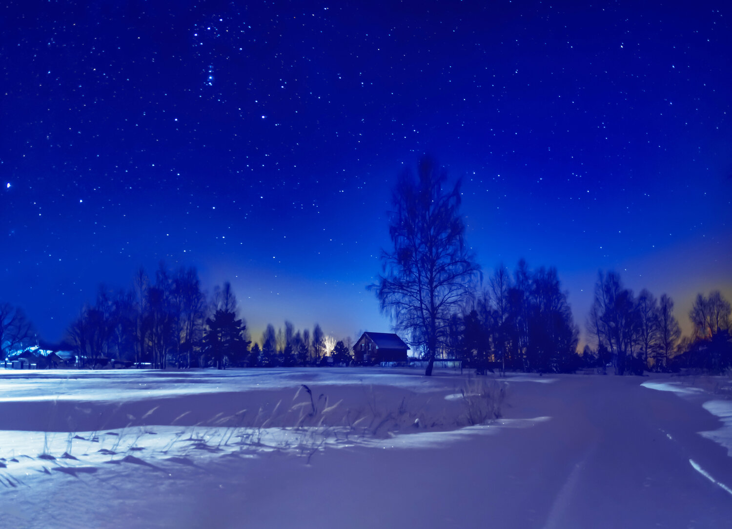Photo #13167948
