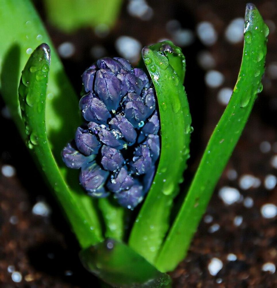 Photograph by Анастасия Смирнова