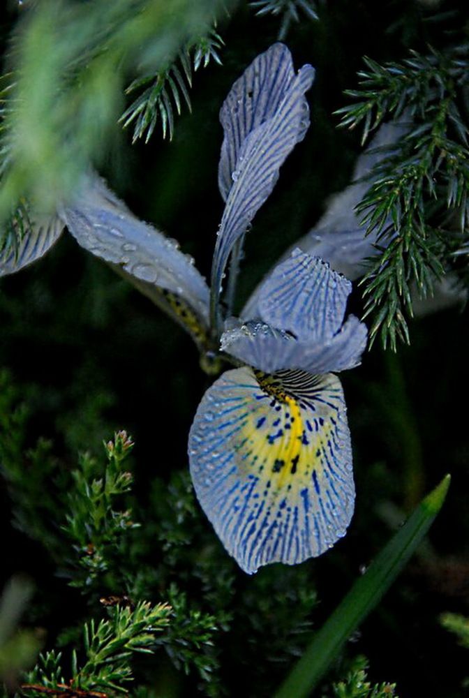 Photograph by Анастасия Смирнова