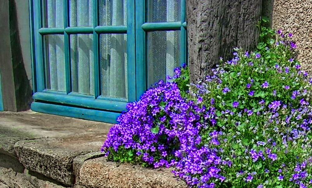 Photograph by Анастасия Смирнова