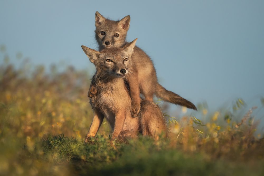 Фотография #13167955