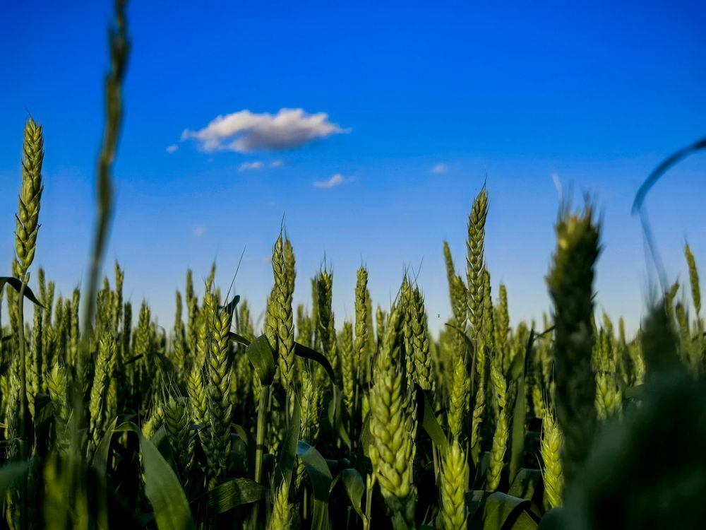 Photograph by Инна Невар