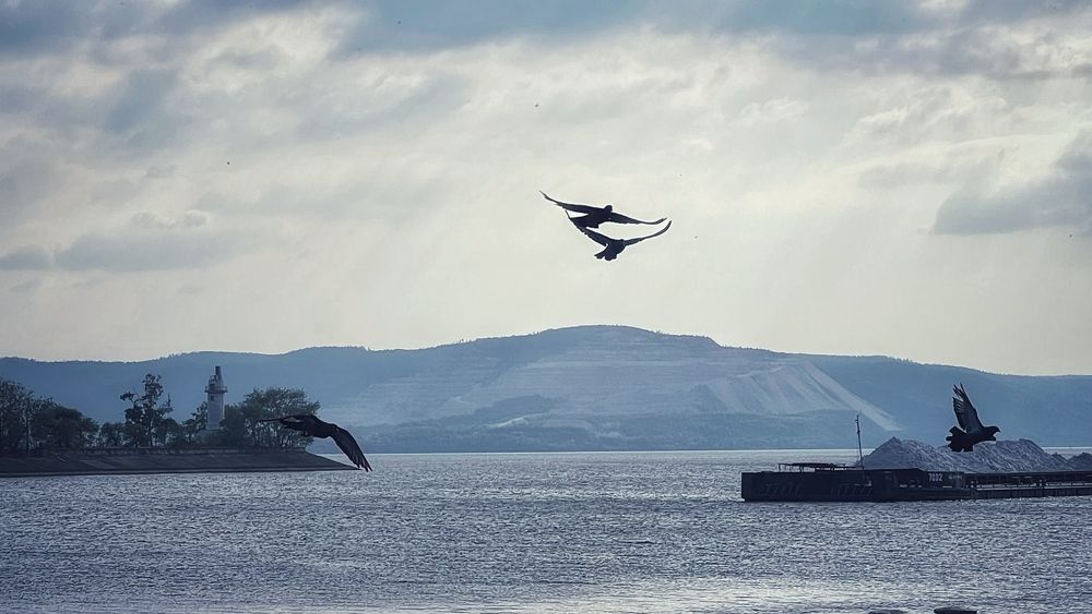 Photograph by Светлана Смук