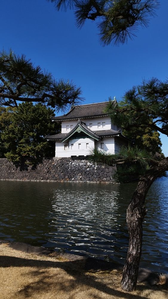 Photograph by ELLA BROD